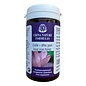 CHINA NATURE FORMULAS ZHU YUN HUO XUE FANG - CULA HERBS  (100 TABLETTEN)
