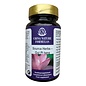 CHINA NATURE FORMULAS GUI PI TANG - SOURCE (100 TABLETTEN)