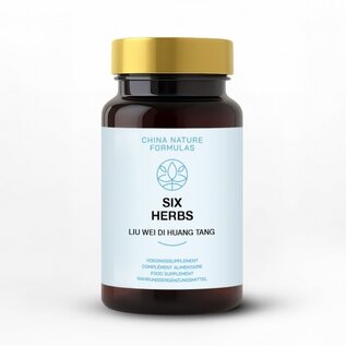 CHINA NATURE FORMULAS LIU WEI DI HUANG TANG - SIX HERBS (100 TABLETTEN)