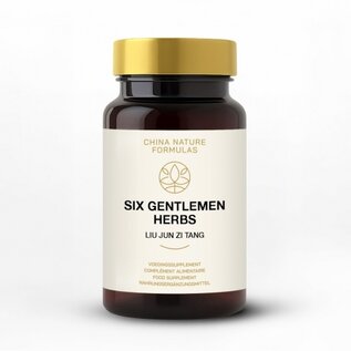 CHINA NATURE FORMULAS LIU JUN ZI TANG - SIX GENTLEMEN HERBS (100 TABLETTEN)