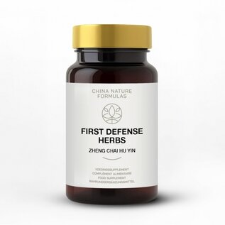 CHINA NATURE FORMULAS ZHENG CHAI HU YIN - FIRST DEFENSE HERBS (100 TABLETTEN)