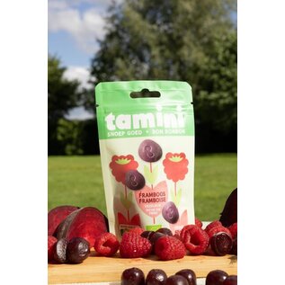 TAMINI BONBON BIO SNOEP GOED FRAMBOOS (60 G)