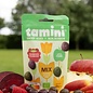 TAMINI BONBON BIO SNOEP GOED MIX (60 G)