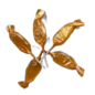 BIJENHOF BEE PRODUCTS HONINGLOLLY’S (500 G)