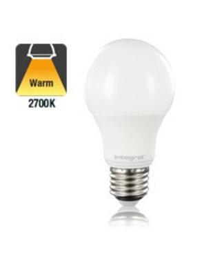 E27 4,8w Classic Globe, 470 Lumen, 2700K Warm Wit, 2 Jaar Garantie