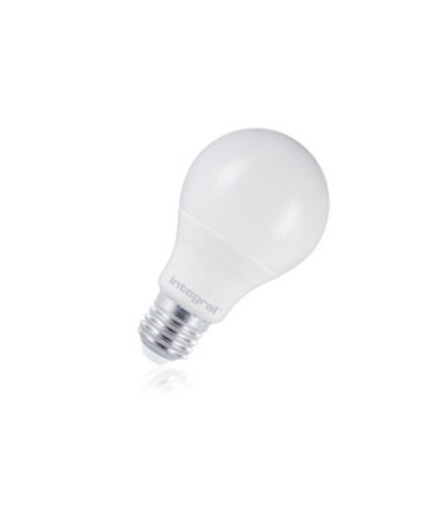 E27 6w Classic Globe, 500 Lumen, 5000K Daglicht Wit, 2 Jaar Garantie