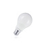 E27 6w Classic Globe, 500 Lumen, 5000K Daglicht Wit, 2 Jaar Garantie