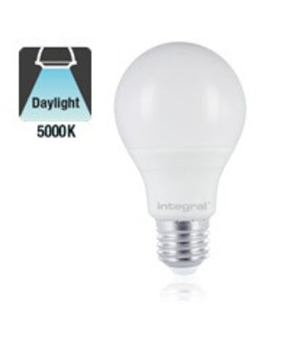 E27 6w Classic Globe, 500 Lumen, 5000K Daglicht Wit, 2 Jaar Garantie