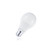 E27 8,6w Classic Globe, 806 Lumen, 5000K Daglicht Wit, 2 Jaar Garantie