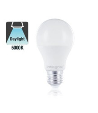 E27 8,6w Classic Globe, 806 Lumen, 5000K Daglicht Wit, 2 Jaar Garantie