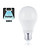 E27 8,6w Classic Globe, 806 Lumen, 5000K Daglicht Wit, 2 Jaar Garantie