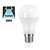 E27 9,5w Classic Globe, 1060 Lumen, 5000K Daglicht Wit, 2 Jaar Garantie