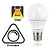 E27 5,5w Classic Globe, 470 Lumen, 2700K Warm Wit, Dimbaar, 2 Jaar Garantie