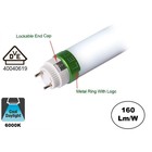 Led Tube 120cm, 20w, 3360 Lumen (160lm/w), 6000K Koud wit, 5 Jaar garantie