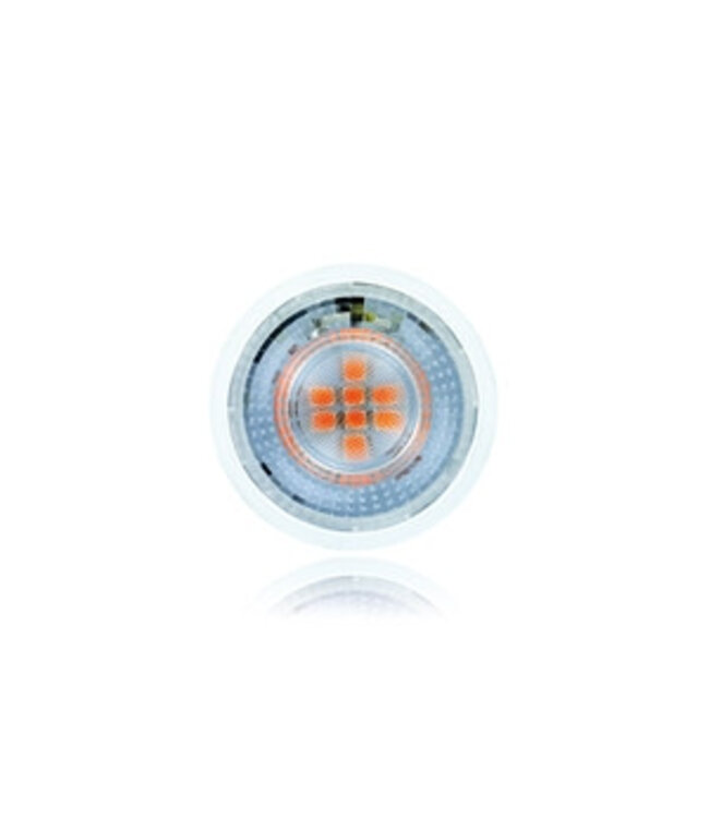 GU10 Led Spot 5w, ROOD, 130 Lumen, 2 Jaar Garantie