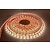 UITVERKOOP - Led Strip ROL 5 meter 3528SMD, 6w/m, 60 led/m, 400Lm/m, 4000K Neutraal wit, 12v, CRI90, IP67, 10mm