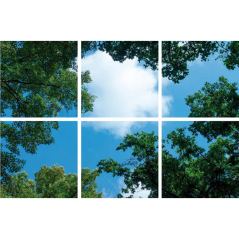 Fotoprint afbeelding Wolken en Bos 180x120cm voor 6x 60x60cm led paneel