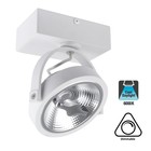 Opbouw LED Spot AR111, 15w, 800 Lumen, 6000K Daglicht Wit, Dimbaar, Wit Armatuur, 3 Jaar Garantie