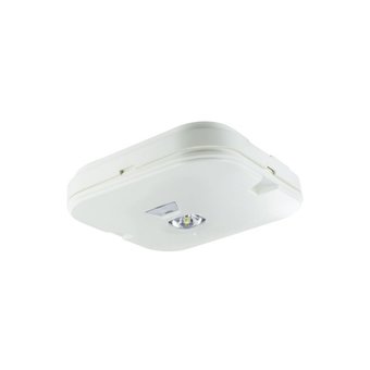 UITVERKOOP: Opbouw LED Noodverlichting Downlighter voor Open Ruimte, 1w, 130 Lumen, Wit, IP44