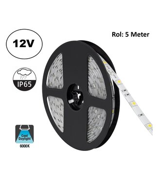 UITVERKOOP: Led Strip ROL 5 Meter 5050SMD, 4,8w/m, 30 led/m, 400Lm/m, 6000K Daglicht wit, 12v, IP65, 10mm