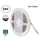 UITVERKOOP: Led Strip ROL 5 Meter 2835SMD, 10,5w/m, 120 led/m, 1100Lm/m, 6000K Daglicht wit, 24v, IP65, 8mm