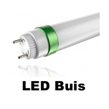 LED Buizen