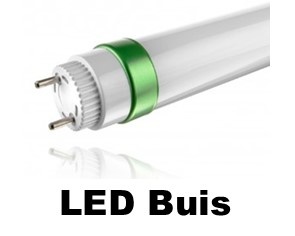 LED Buizen