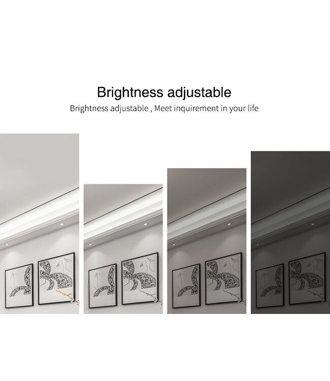 MiBoxer Single Color / CCT Controller - DC 12v-24v - 12A