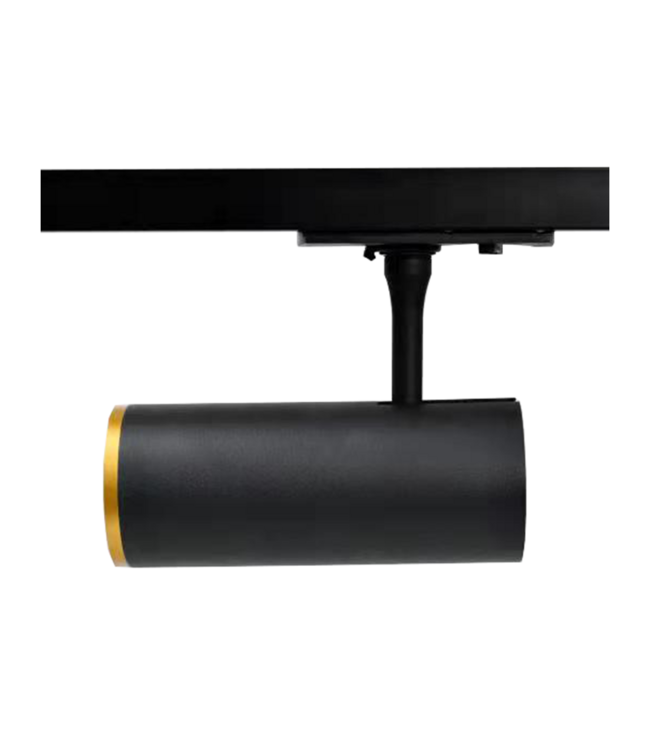 GOUDEN RING VOOR 1-FASE RAILARMATUUR