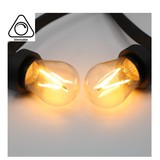 E27 3w Filament Bol Lamp, 150-200 Lumen, Transparante Kap, 2000K Flame - Dimbaar