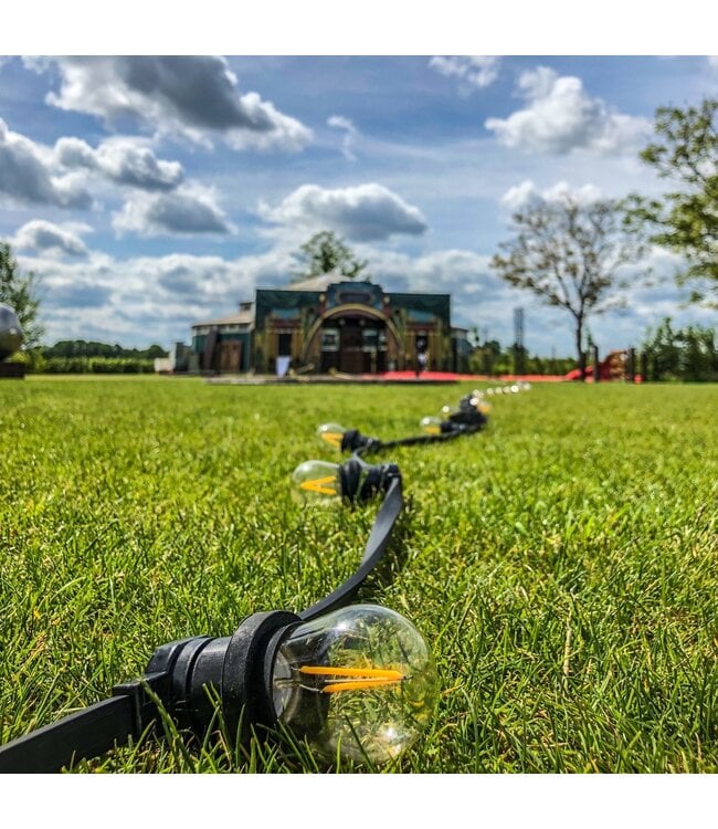 E27 3w Filament Bol Lamp, 150-200 Lumen, Transparante Kap, 2000K Flame - Dimbaar