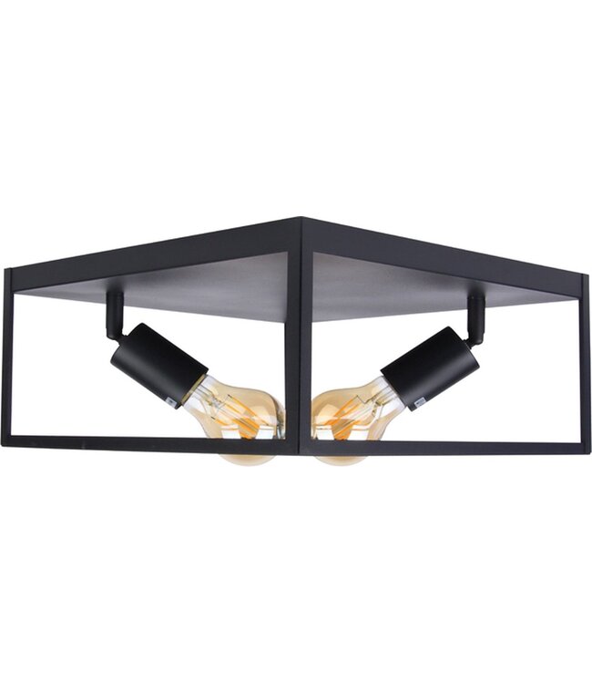 Industriële Plafondlamp Zwart | 30x30cm | Incl. 2x Lichtbron E27 - 4w - 2400K - Dimbaar  | Retro | Vintage | Metaal