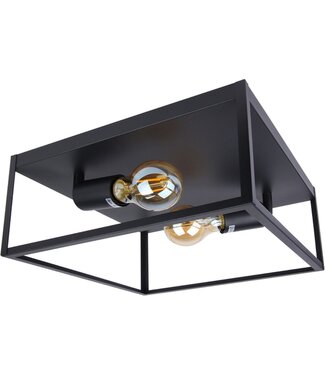 Industriële Plafondlamp Zwart | 30x30cm | Incl. 2x Lichtbron E27 - 4w - 2400K - Dimbaar  | Retro | Vintage | Metaal