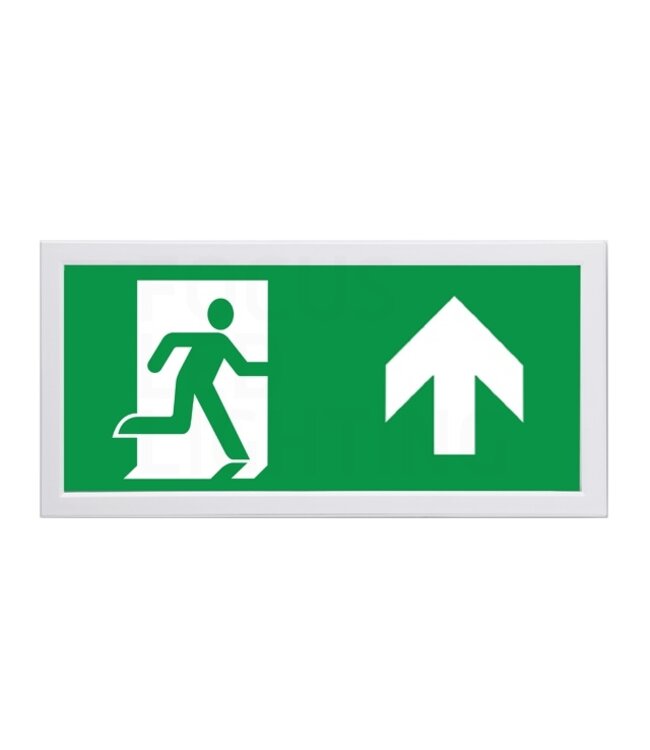 Auto-Test LED Opbouw Noodverlichting Flat 3w, 240 Lumen, Zichtbaar tot 28 meter, IP20, Met pijlaanduiding, 5 Jaar Garantie