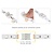 A-Serie Led Strip Connector RGB Led Strips 10MM  (Zonder solderen) | Geschikt voor IP20 en IP65 LED Strips