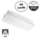 Galerij / Portiek LED verlichting 4w, 360 Lumen, 4000K Neutraal Wit, IP65, 2 Jaar Garantie