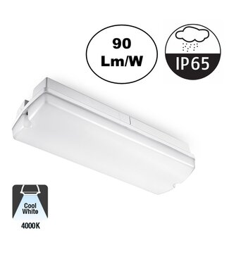 Galerij / Portiek LED verlichting 4w, 360 Lumen, 4000K Neutraal Wit, IP65, 2 Jaar Garantie