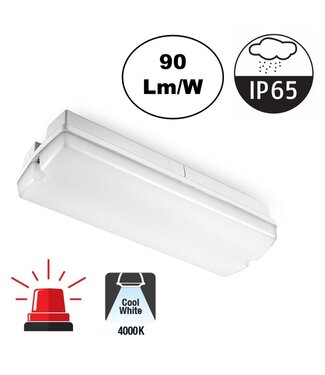 Galerij / Portiek LED verlichting 4w, 360 Lumen, 4000K Neutraal Wit, Met Noodunit, IP65, 2 Jaar Garantie
