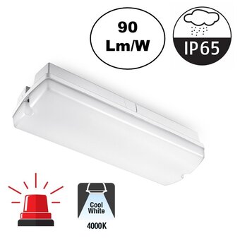 Galerij / Portiek LED verlichting 4w, 360 Lumen, 4000K Neutraal Wit, Met Noodunit, IP65, 2 Jaar Garantie