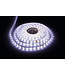 ECO Led Strip ROL 5 Meter 2835SMD, 6w/m, 60 led/m, 617Lm/m, 6500K Daglicht wit, 24v, IP65HS, 8mm, 2 Jaar garantie