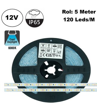 ECO Led Strip ROL 5 Meter 2835SMD, 12w/m, 120 led/m, 1300Lm/m, 6500K Daglicht wit, 24v, IP65HS, 8mm, 2 Jaar garantie