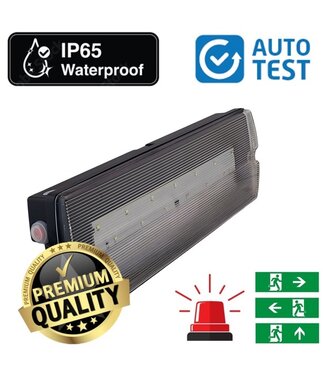 Auto-Test LED Opbouw Noodverlichtingsarmatuur Zwart 4w, 280 Lumen, IP65, Met pijlaanduiding, 3 Jaar garantie