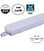 UITVERKOOP: Led Tri Proof 123cm, 36w, 5040 Lumen (140lm/w), 6000K Daglicht Wit, Koppelbaar, PH LED Driver, IP65