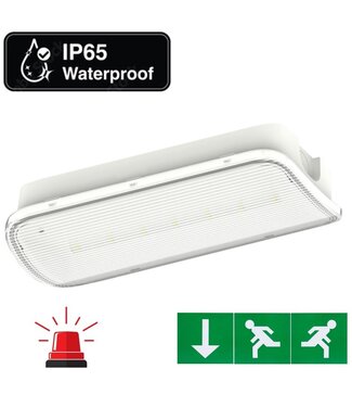 Standaard LED Bulkhead Noodverlichting 1w, 150 Lumen, IP65, Met pijlaanduiding, 357x116mm, 2 Jaar garantie