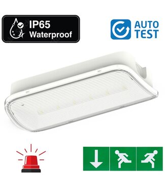 Auto-Test Compact LED Bulkhead Noodverlichting 1w, 150 Lumen, IP65, Met pijlaanduiding, 231x116mm, 2 Jaar garantie