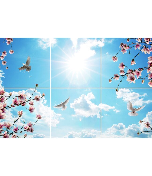 Offerte Aanvraag - Maatwerk LED Fotoprint