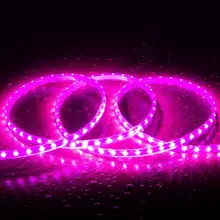 LED Lichtslang Op Maat Per Meter: Violet, 10w/m, 60 leds/m, 840lm/m, IP65, 230V