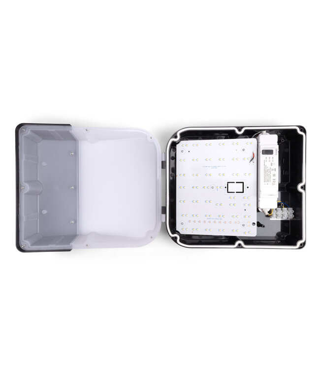 LED Wallpack Slim 20/30w, 2400/3600 Lumen, CCT Switch (3000K/4000K/6000K), IP65, IK10, 3 Jaar Garantie