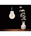 SPL E27 Led Bollamp A60 Slim-Flex, 4,2 Watt, 470 Lumen, 2200K Flame, CRI90, Dimbaar, Goudkleurig Glas, 2 Jaar Garantie