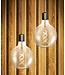 SPL E27 Led Bollamp G125 Fila-Flex, 5 Watt, 460 Lumen, 2200K Flame, 3 Steps-Dim (100%/50%/25%), Goudkleurig Glas, 2 Jaar Garantie